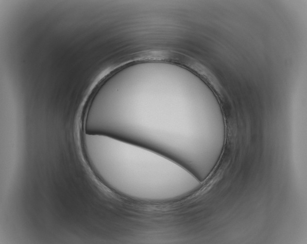 X0000111031083200906251113