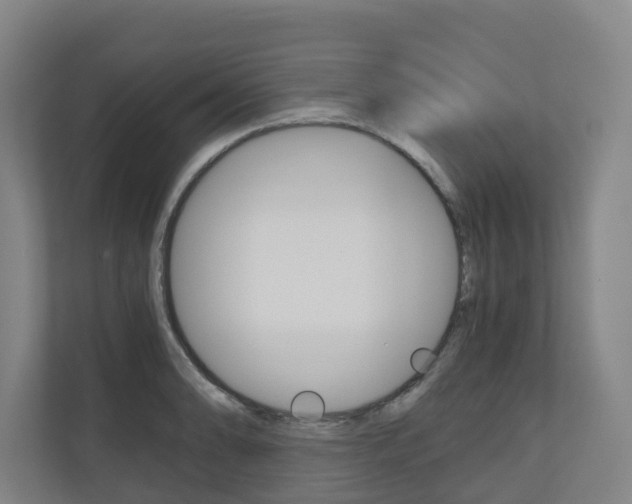 X0000111031086200906251113