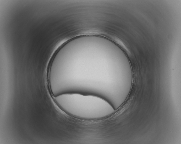 X0000111031087200906251113