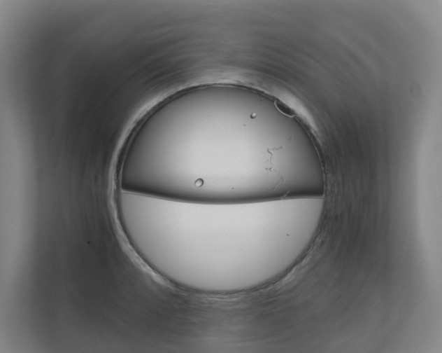 X0000111031088200906251113