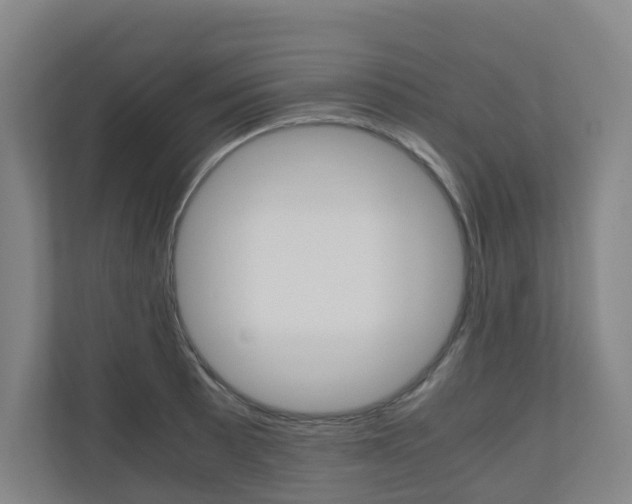 X0000111031089200906251113