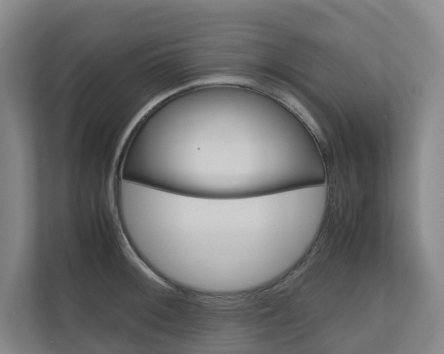 X0000111031092200906251113