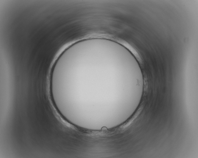X0000111031094200906251113