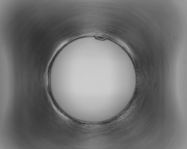 X0000111031095200906251113