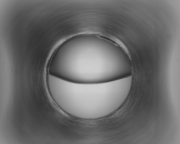 X0000111031096200906251113