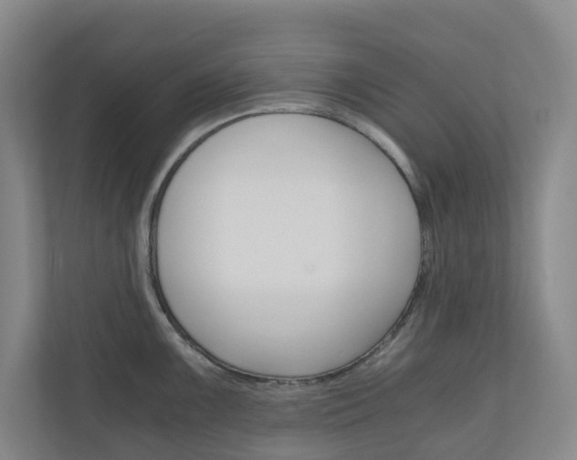 X0000111031099200906251113