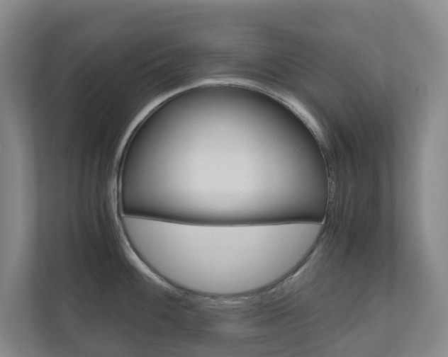 X0000111031100200906251113