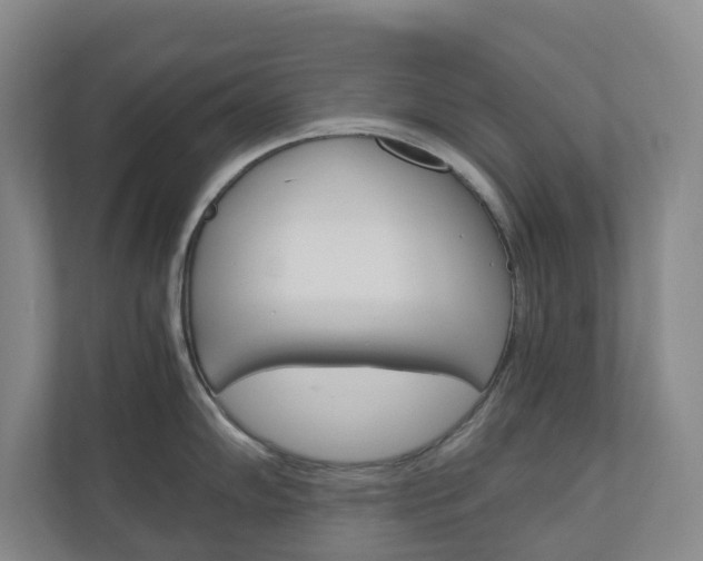 X0000111031102200906251113