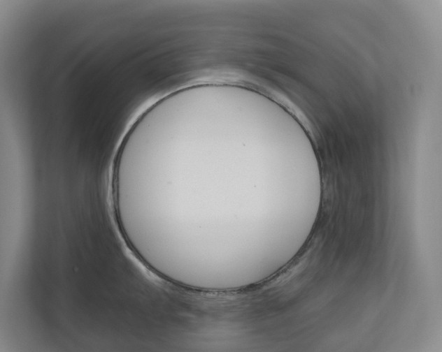 X0000111031103200906251113