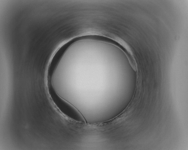 X0000111031104200906251113