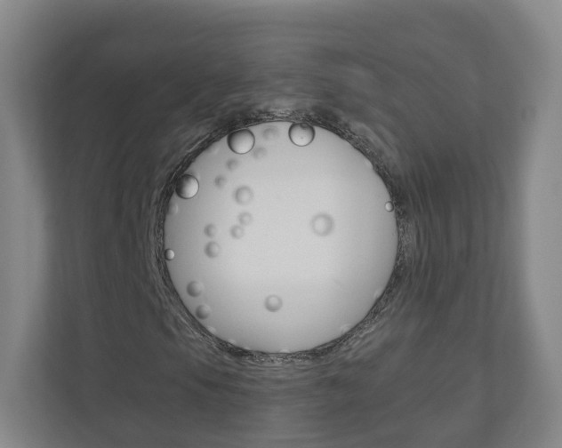 X0000111031105200906251112