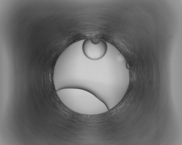 X0000111031106200906251112