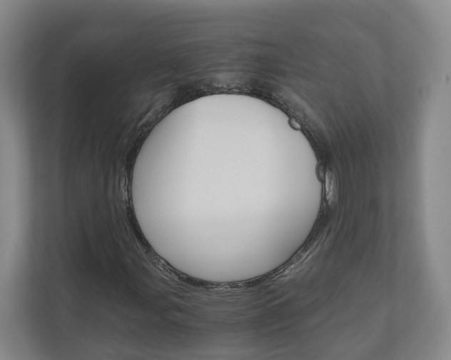 X0000111031107200906251112
