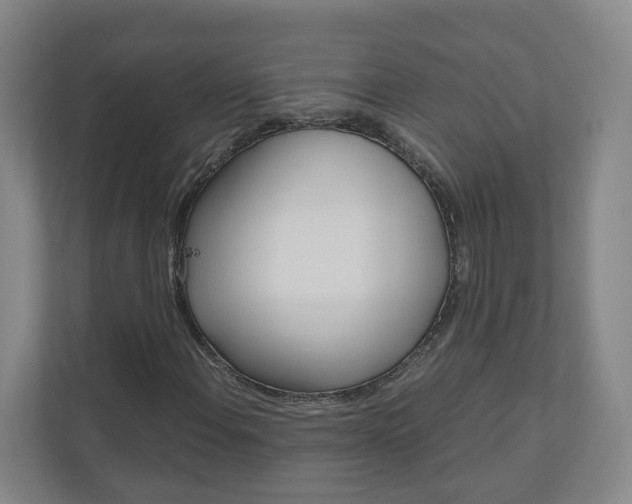 X0000111031108200906251112