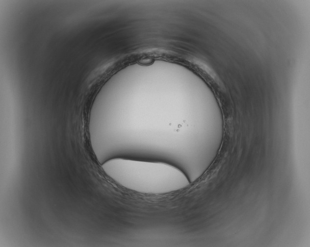 X0000111031111200906251112