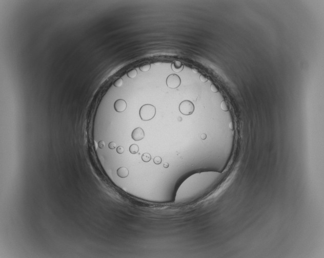 X0000111031113200906251112