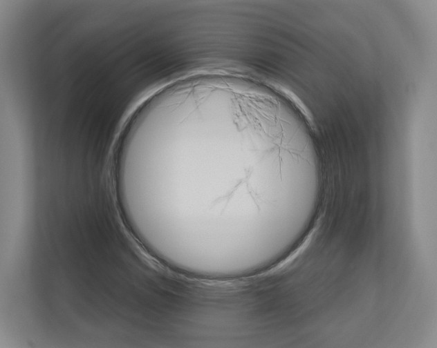 X0000111031114200906251112