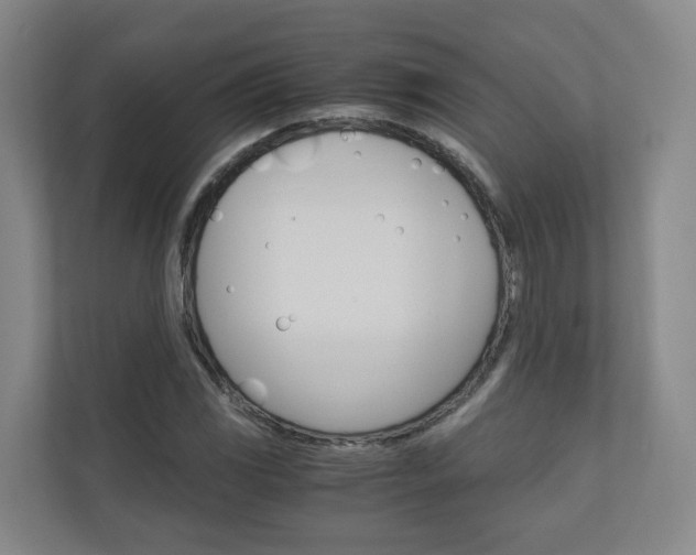 X0000111031117200906251112