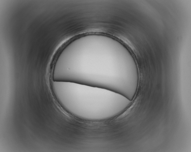 X0000111031119200906251112