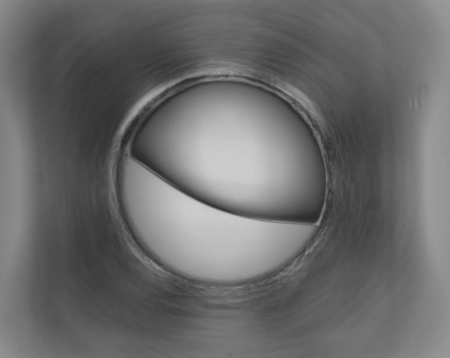 X0000111031120200906251112