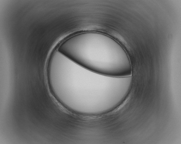X0000111031122200906251112
