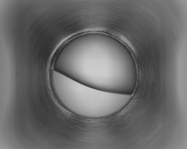 X0000111031124200906251112