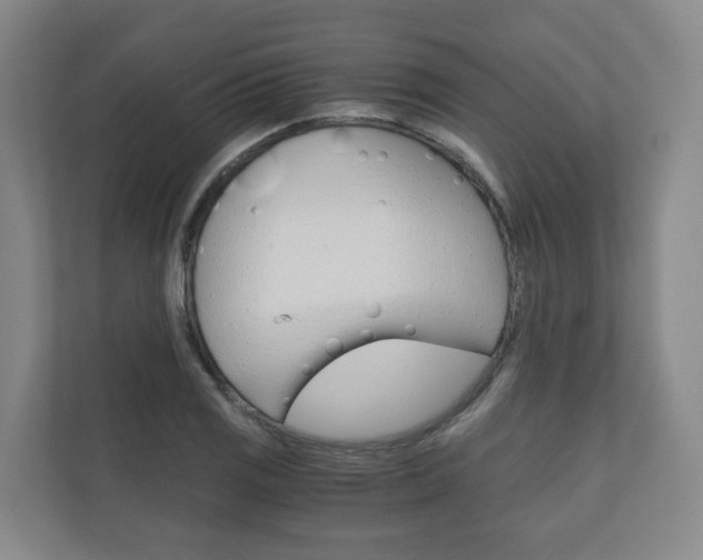 X0000111031125200906251112