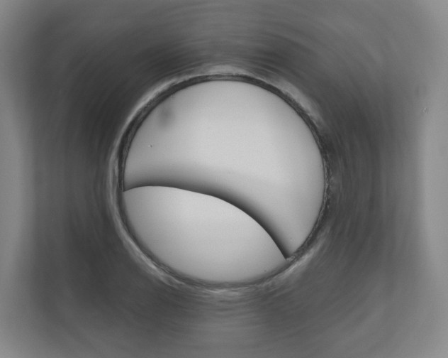 X0000111031126200906251112
