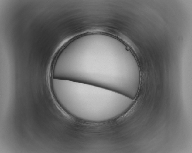 X0000111031127200906251112
