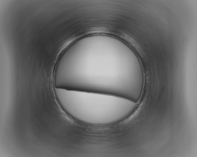 X0000111031129200906251112