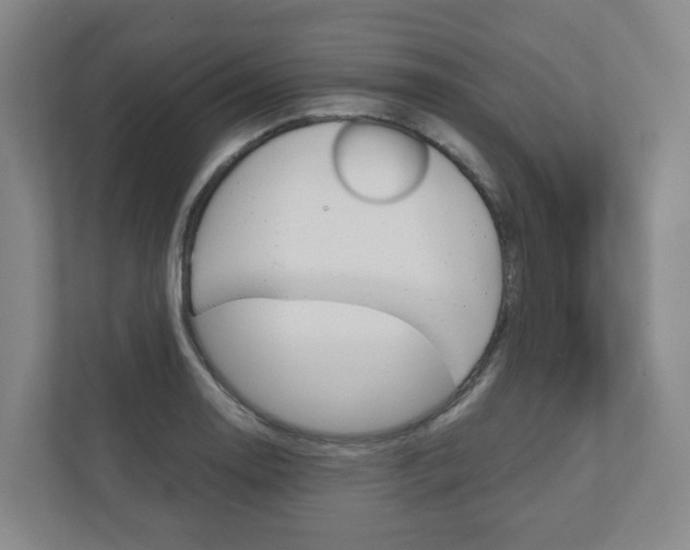 X0000111031130200906251112