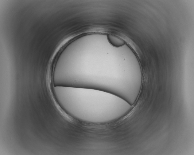 X0000111031131200906251112