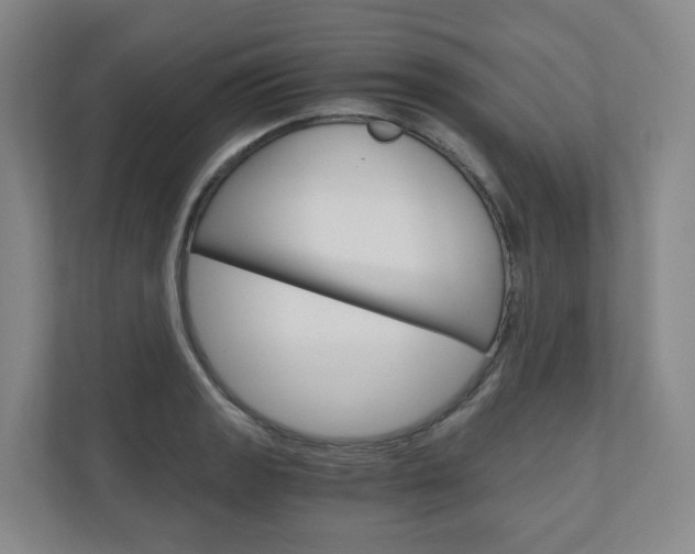 X0000111031133200906251112