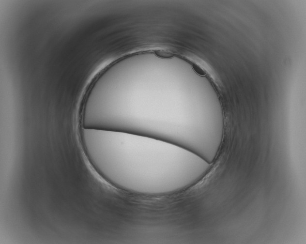 X0000111031135200906251112