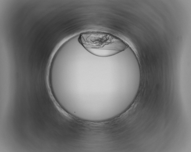 X0000111031136200906251112