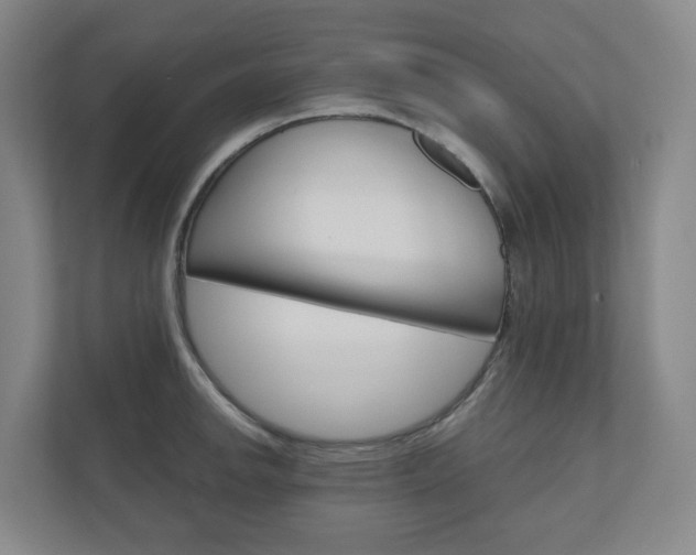 X0000111031142200906251112