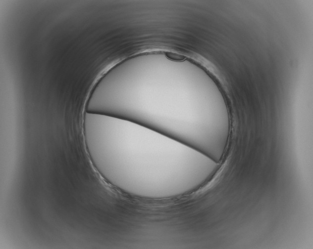 X0000111031145200906251112