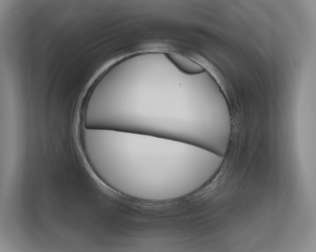 X0000111031147200906251112