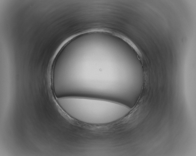 X0000111031148200906251112