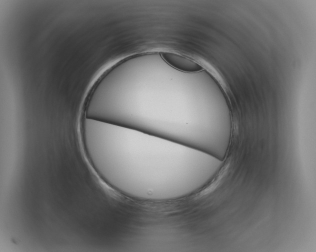 X0000111031149200906251112