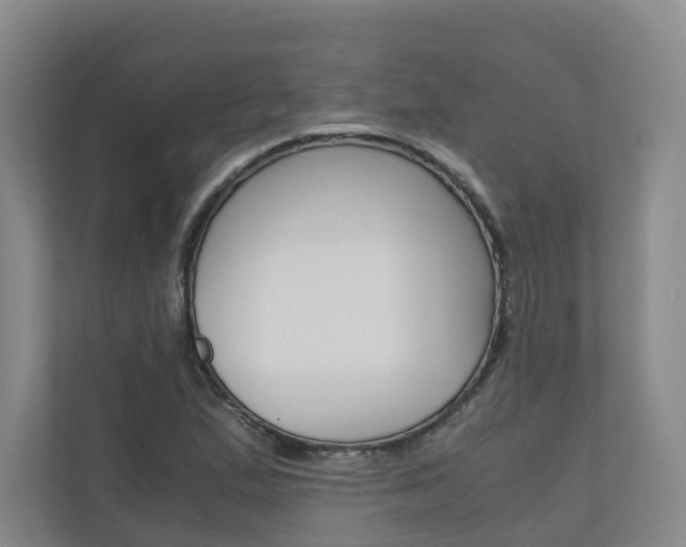 X0000111031167200906251112