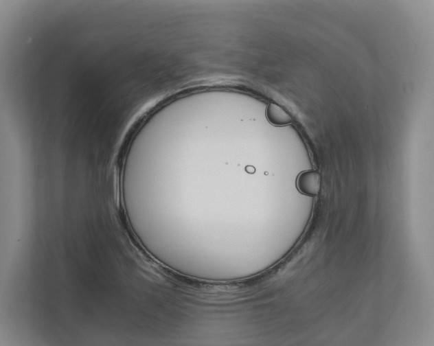 X0000111031171200906251112