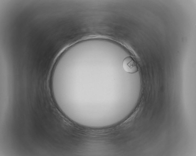 X0000111031173200906251112