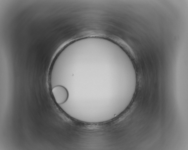 X0000111031182200906251112