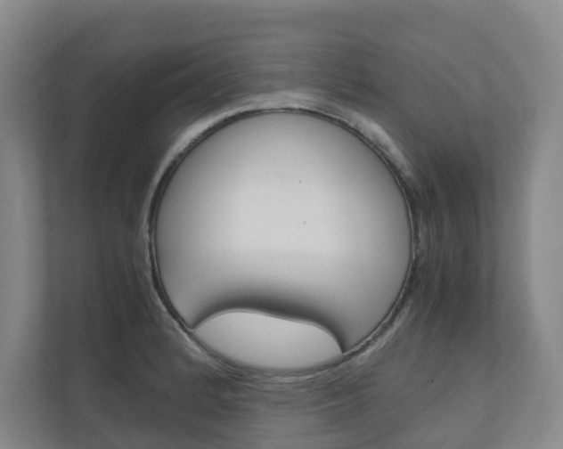 X0000111031184200906251111