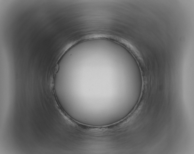 X0000111031185200906251111