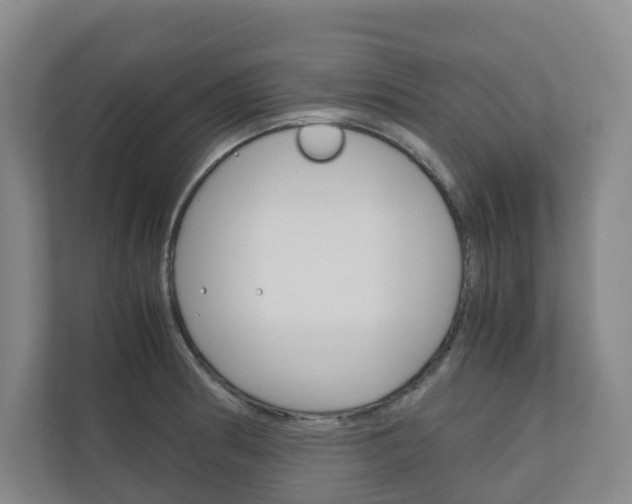 X0000111031186200906251111