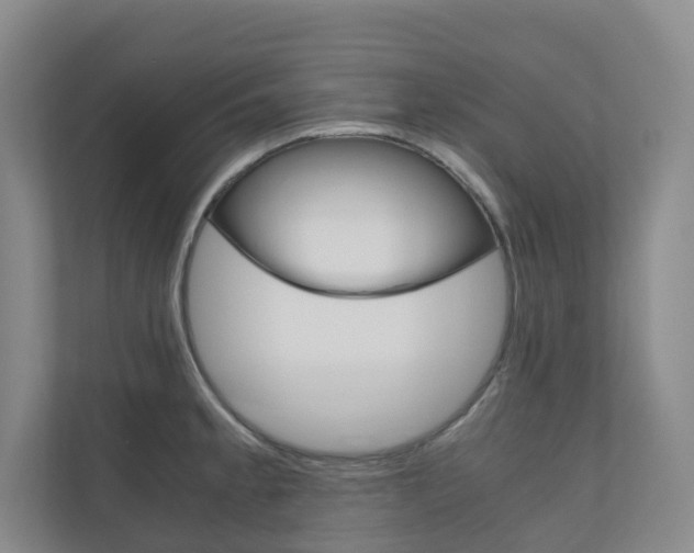 X0000111031189200906251111
