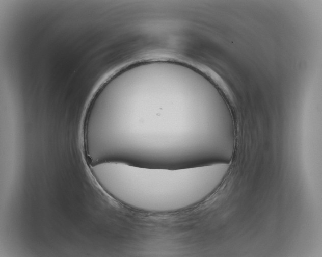 X0000111031191200906251111