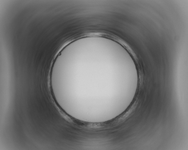 X0000111031194200906251111